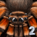 终极蜘蛛模拟器2(Spider Colony Simulation 3D)