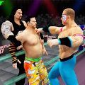 WWE团体世界冠军赛(Tag Team Stars)