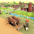 农业专家模拟器(Village Vintage Farming)