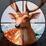 鹿猎人世界2021(wild deer hunter)