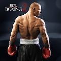 傲慢的拳击(Real Boxing 2)