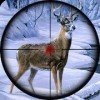 动物终极猎人(Sniper Animal Shooting 3D)