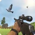 鸽子射击(Pigeon Shoot)